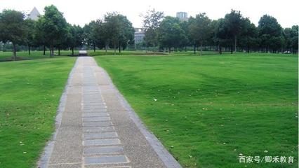 上海最美三所大學(xué)，景致與實(shí)力并存，考上學(xué)子皆不凡